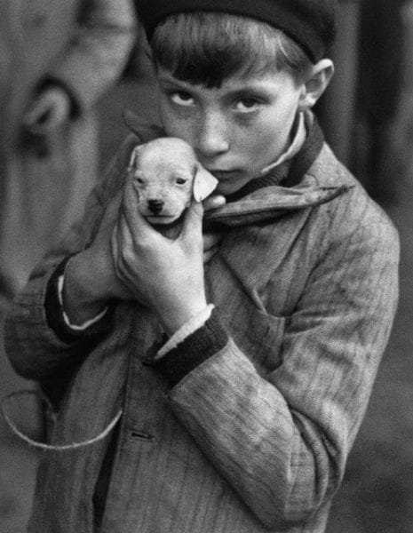 Criança com um olhar sério segurando um pequeno filhote de cachorro em suas mãos.